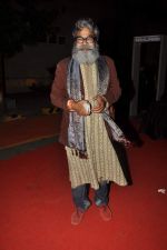 at ITA Awards red carpet in Mumbai on 4th Nov 2012,1 (91).JPG